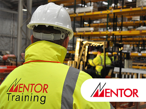 MS Mentor Featured 1