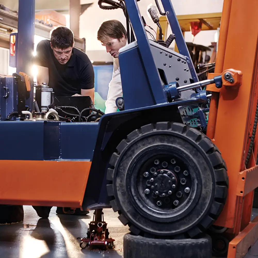 Thorough Examination Revalidation